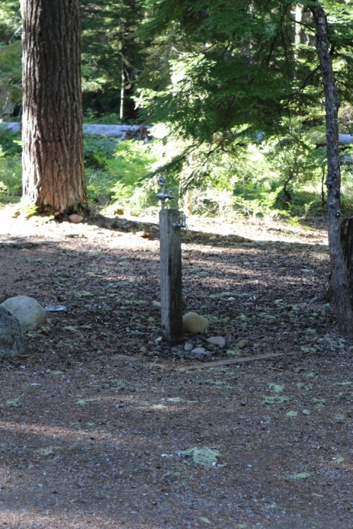 Camping in Washingtons Kachess Campground.